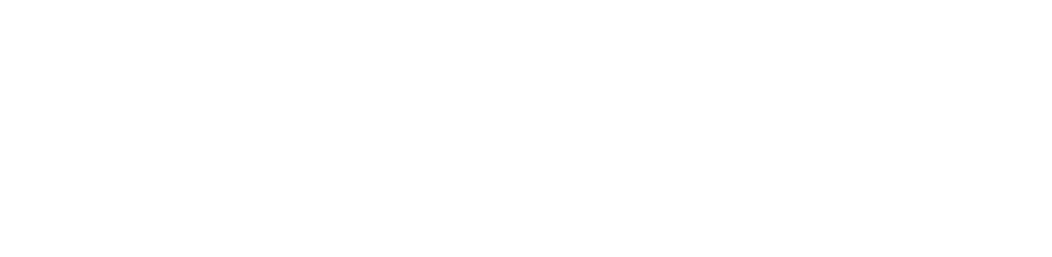 Amuse Plus